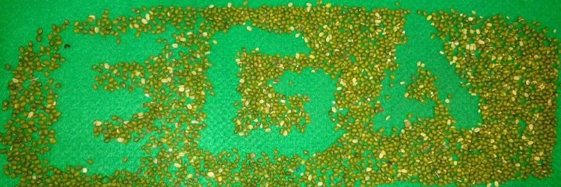 egga_lestari's profile banner image