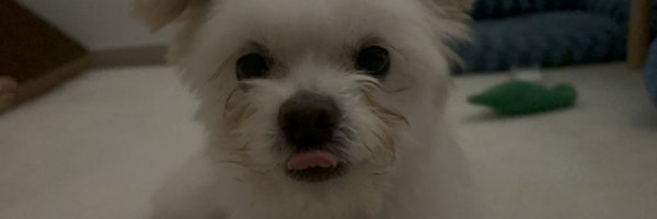 Noopppp_y Profile Banner