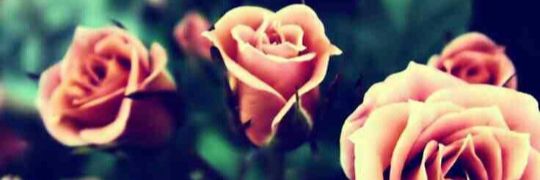 Imaa_Scorpio's profile banner image