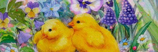 katewearscoates's profile banner image