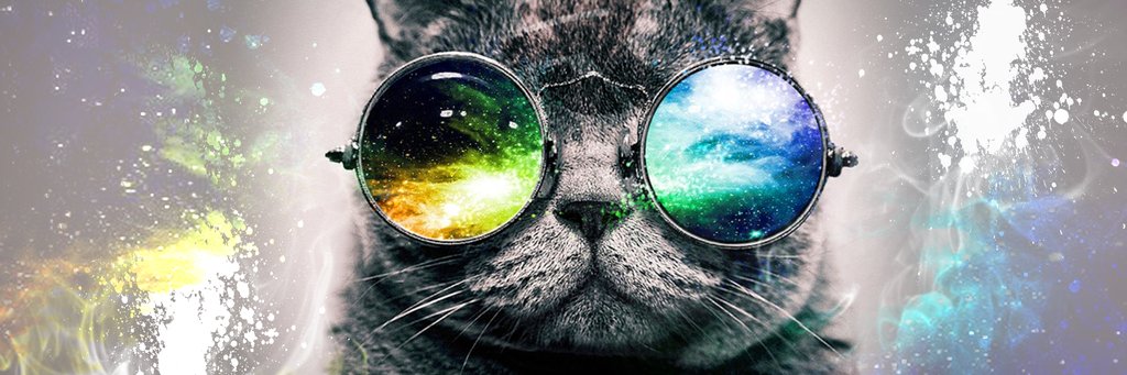 MorganBeanie's profile banner image