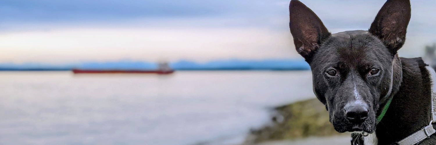 David Seater 🚶 🚴 🏳️‍🌈 banner