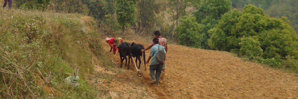 Apar Poudel banner