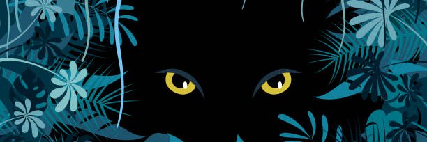 minihina's profile banner image