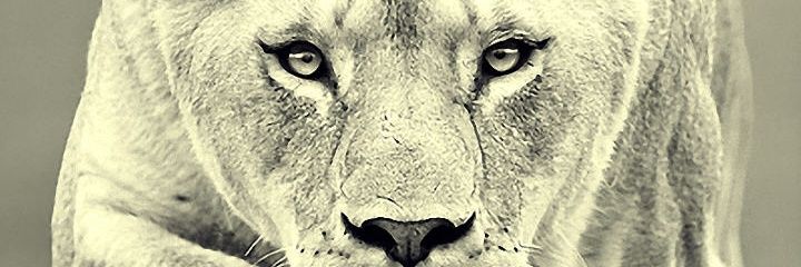EmanuelLukani's profile banner image