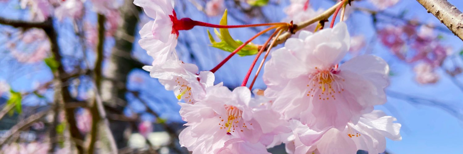 makyyy22's profile banner image