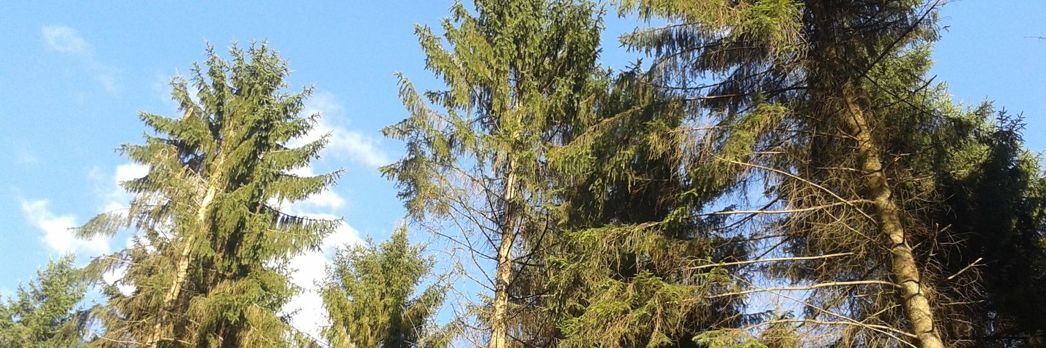 duaner_b's profile banner image