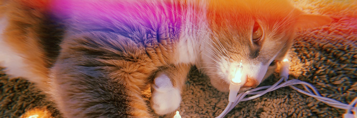 rogentopia's profile banner image
