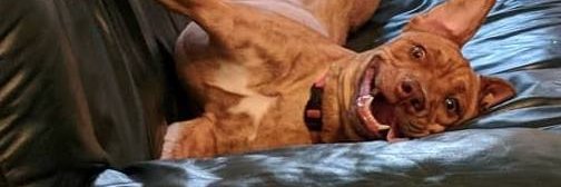 Hey_Its_JC's profile banner image