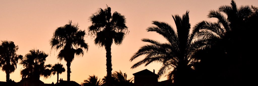 LauBaran's profile banner image