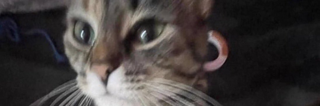 schmeddie212's profile banner image