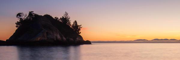 BellAlliance Profile Banner