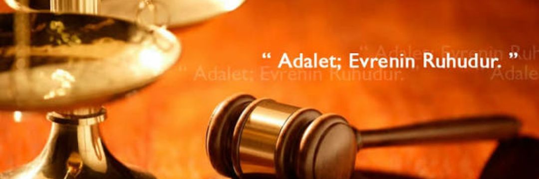 asena_badel's profile banner image