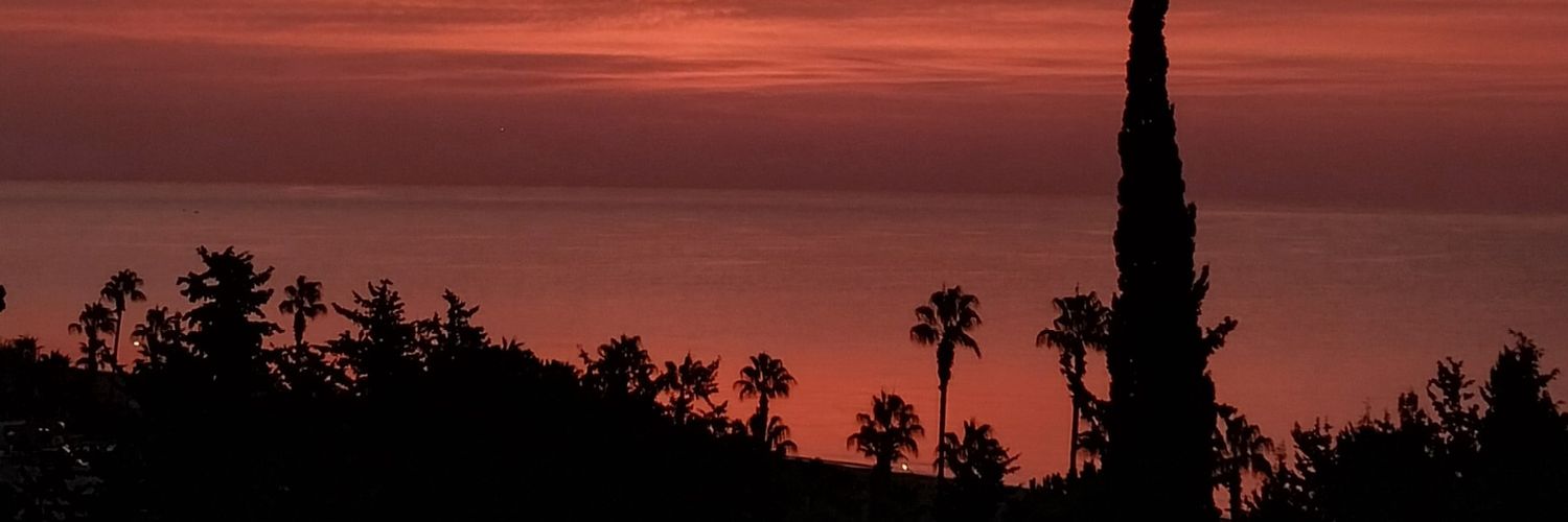 AliCanAkray's profile banner image