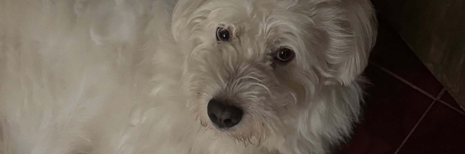 mukhangpera_'s profile banner image