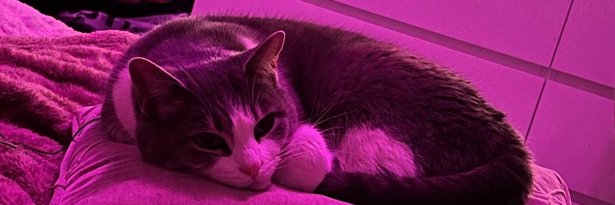 DesireeKaycee17's profile banner image