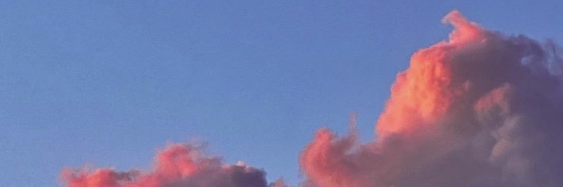 thylrd's profile banner image