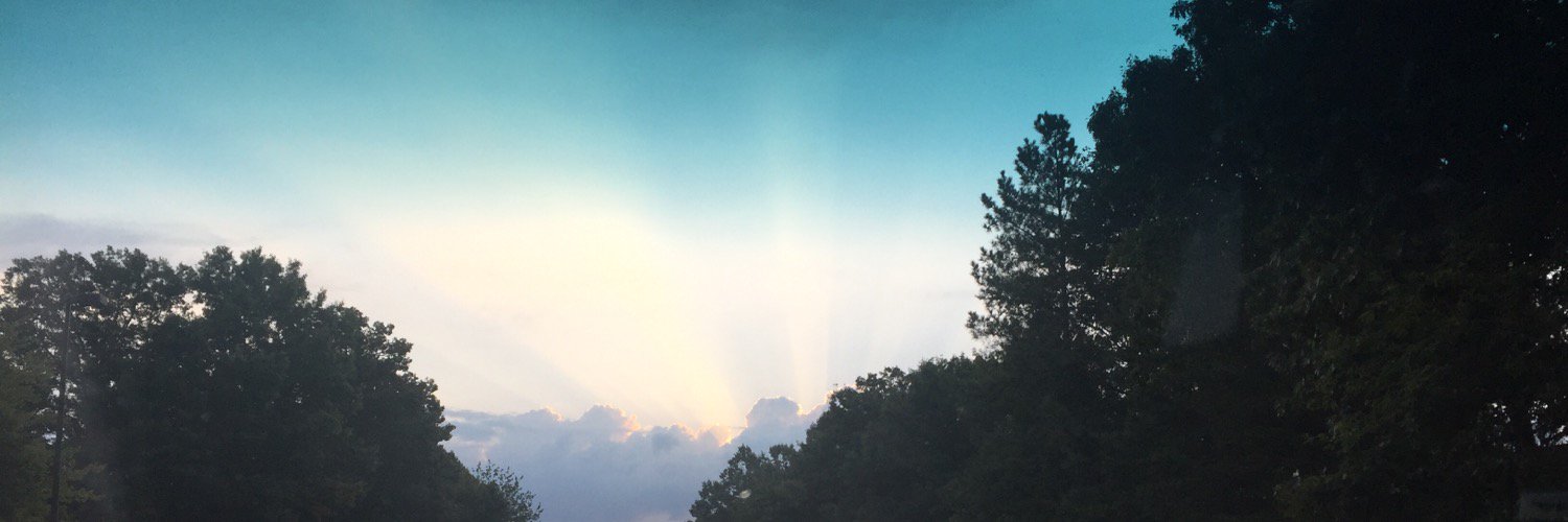 BigParser's profile banner image
