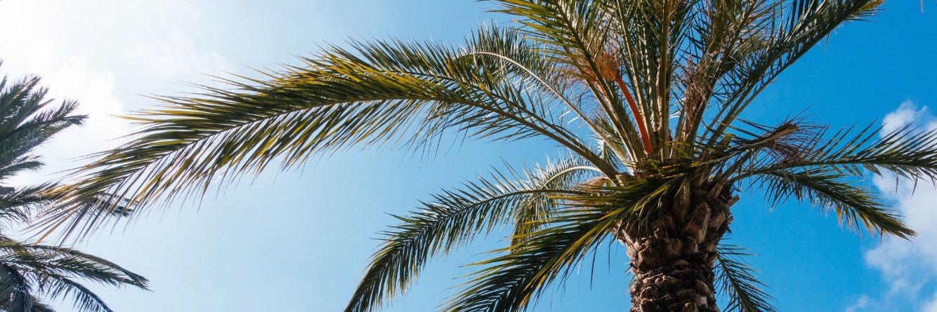 debparry's profile banner image