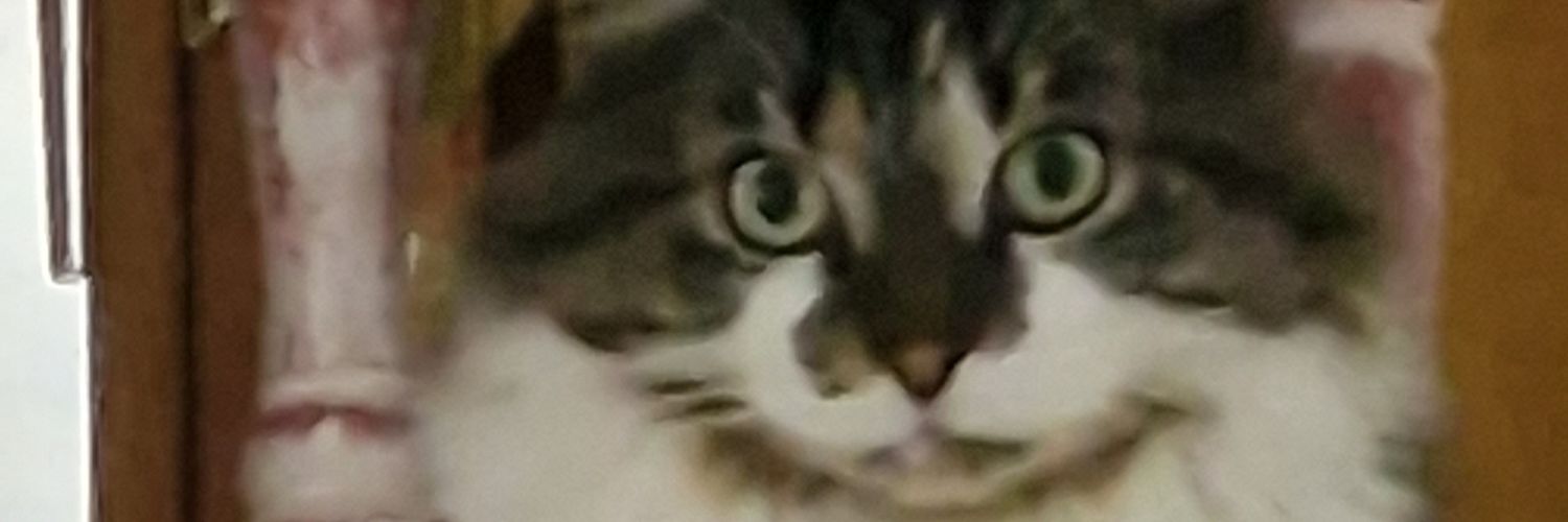thesteisak's profile banner image