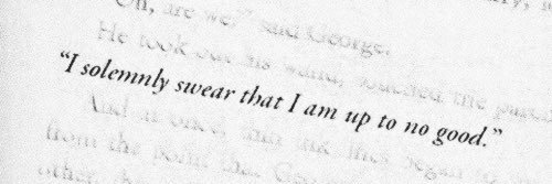 Amanda Evans © banner