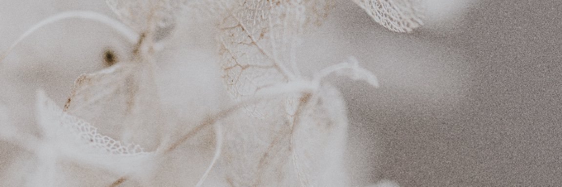 wendsemus's profile banner image