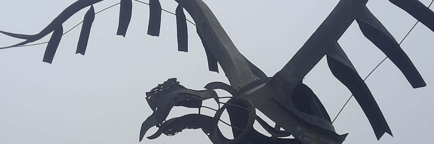 fostos's profile banner image