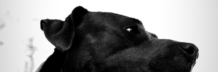 Doctor_mphoza's profile banner image