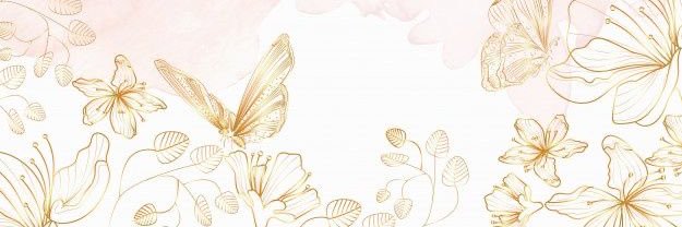 mirisegu88's profile banner image