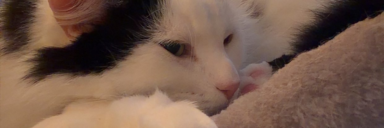 DoostinKay's profile banner image