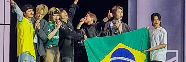 diego banner