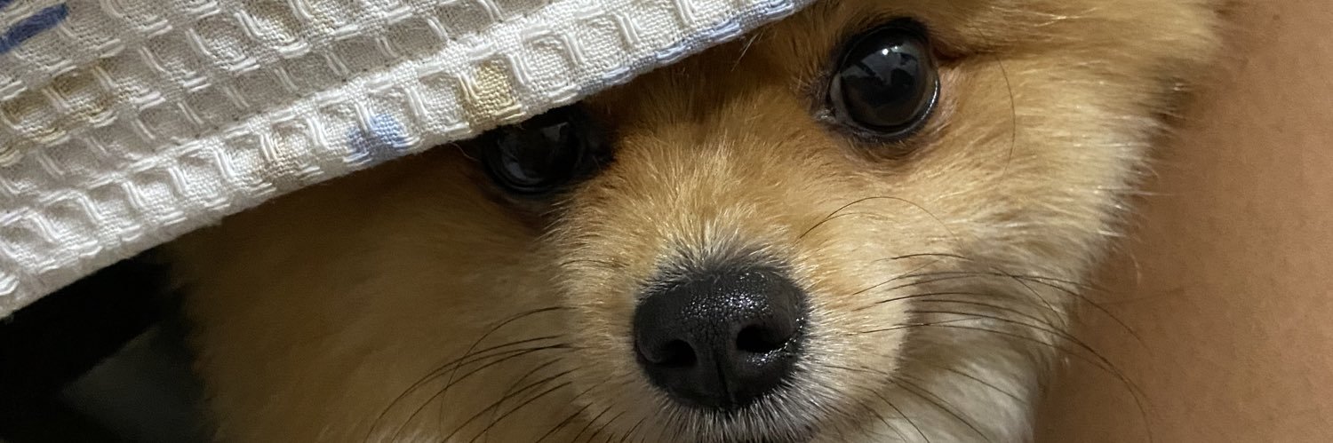 amandslsv's profile banner image