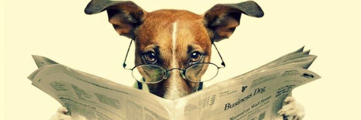 RinkonDelPensar's profile banner image