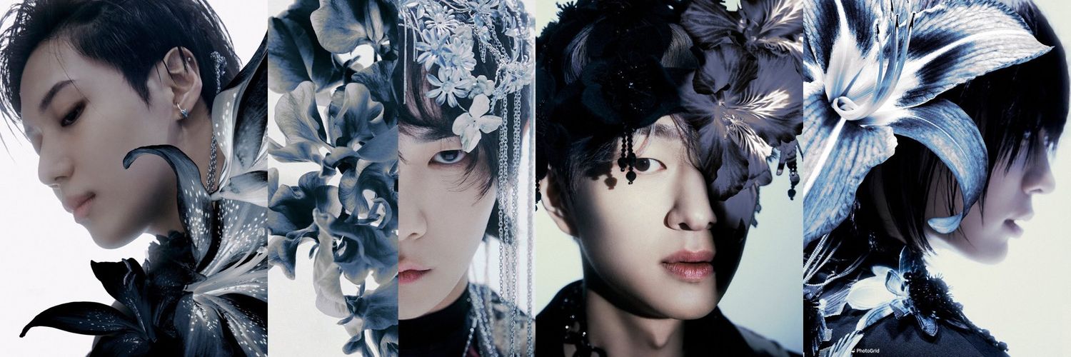 InTheJinkiWorld's profile banner image