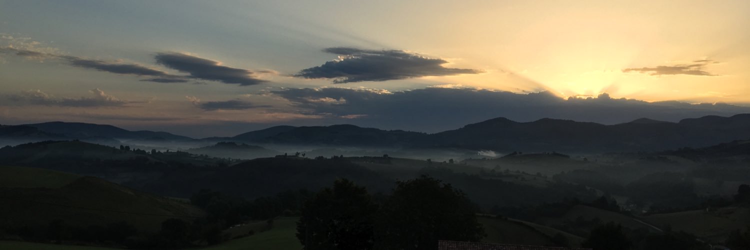 R_Boidin's profile banner image