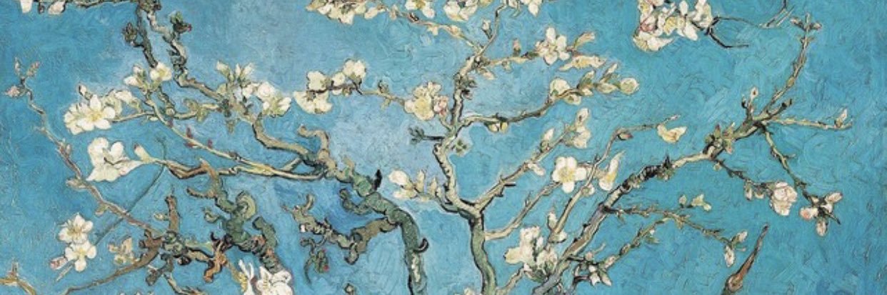 betlcansever's profile banner image