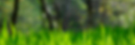 salimromadhon's profile banner image