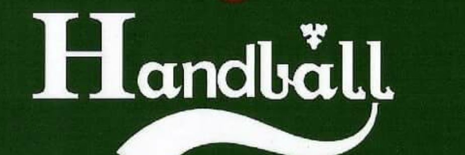 Carrick handball banner