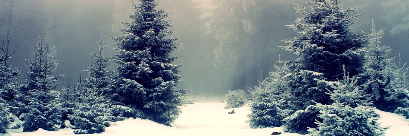 kylecc134's profile banner image