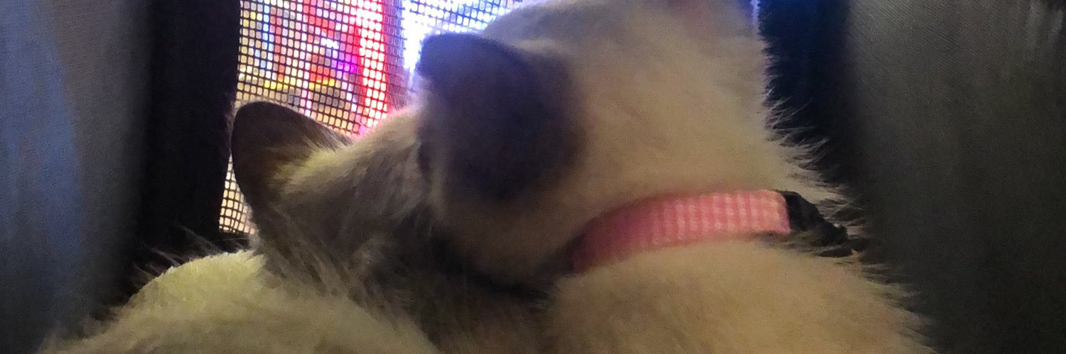 _Jalibutt's profile banner image
