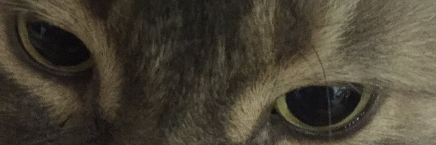 everyday_soma's profile banner image