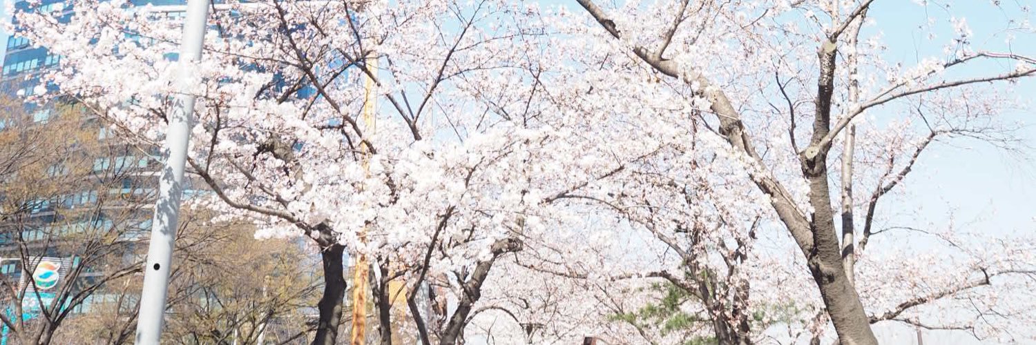 xxn2ss's profile banner image