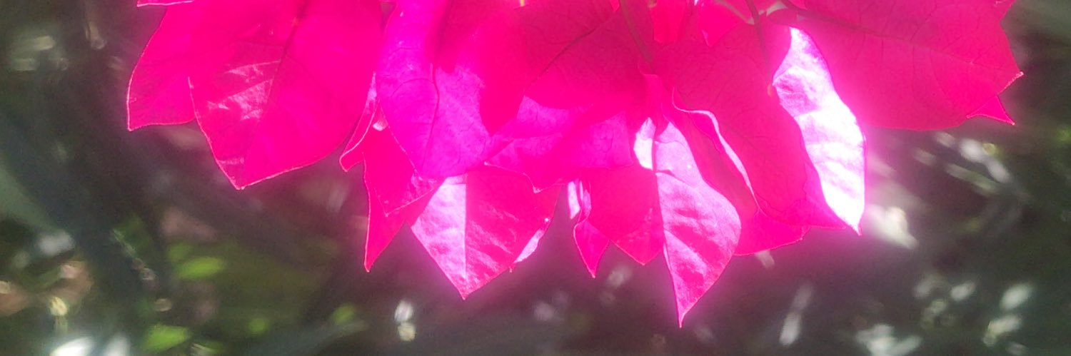 zdiler's profile banner image