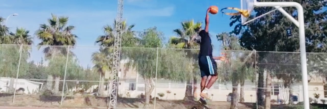 Wilsonhackins banner