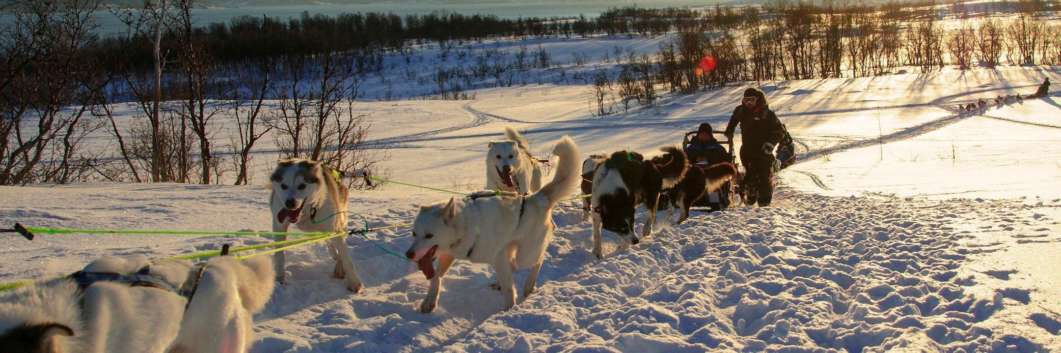 Wildernesscenter banner