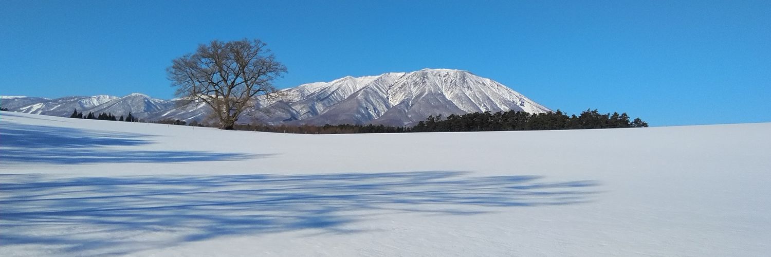 ToshiToshiyuk's profile banner image