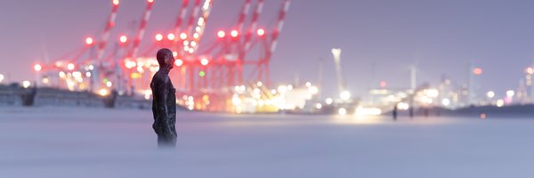 SteveWardNature Profile Banner