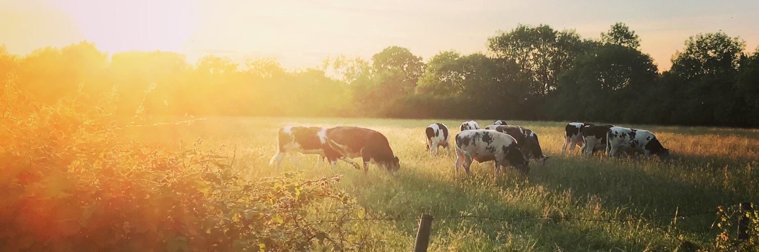 Loges Krshnan banner