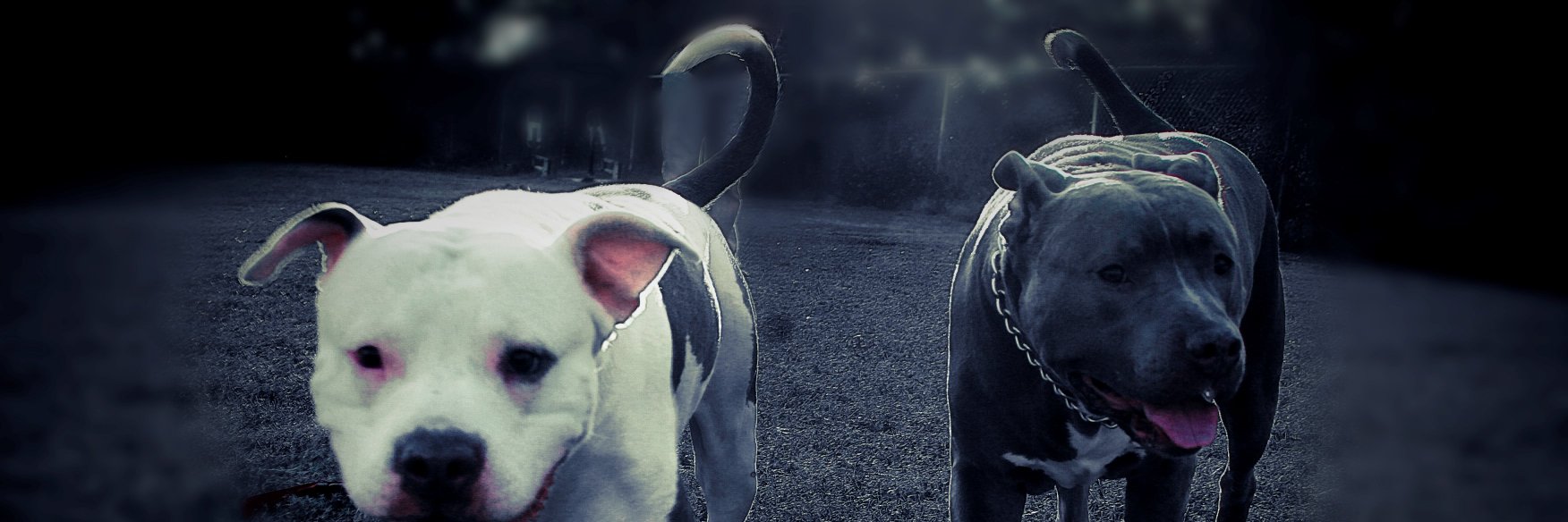 itsTrey_'s profile banner image