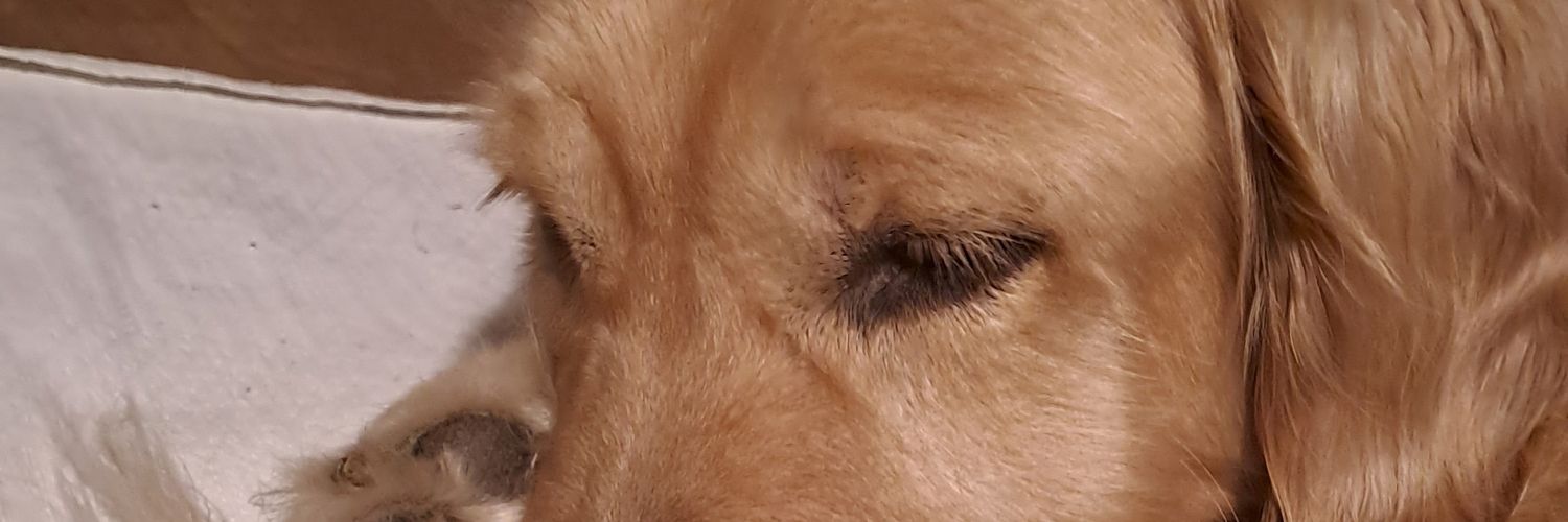 ladia27's profile banner image